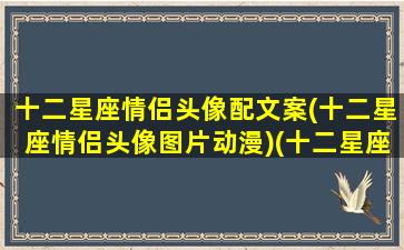 十二星座情侣头像配文案(十二星座情侣头像图片动漫)(十二星座情侣头像 壁纸高清图片)